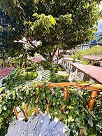 Sababa resort
