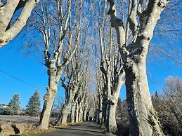 Les Marronniers
