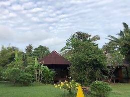 Andaman Sunflower