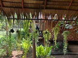 Andaman Sunflower