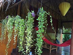 Andaman Sunflower