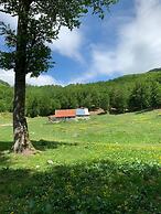 Joen Village