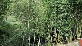 Qing Dynasty House
