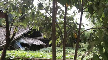Qing Dynasty House
