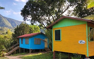 T.R.E.E.S Research Center and Eco Lodge