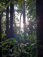 Inti Amazon Lodge - Lupuna Zona 2