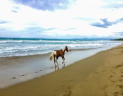 Residnecial Mananero Beach Apartment