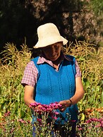 La Paleta del Pintor Hosteria
