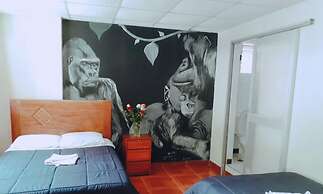 Modo Hostel Resto Bar