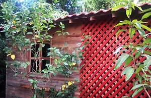 Soul Fire Casitas