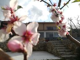 B&B Capo al Piano