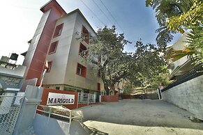 Hotel Marigold With Swimming Pool By SAH
