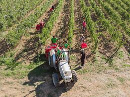 Agriturismo il Querciolo