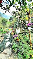 Nasun bed and breakfast