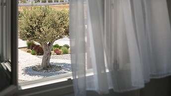 Olives & Rocks Naxian Villas