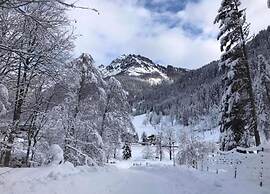 Spacious Holiday Home in Goldegg near Ski Area