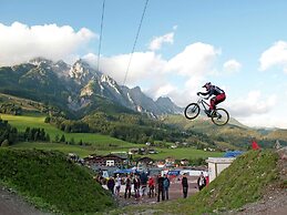 Animal -friendly Apartment in Leogang