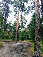Guest house Kiev forest