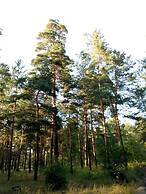 Guest house Kiev forest