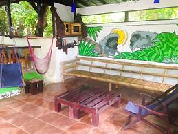 Jungle Lodge at Wild Sun Rescue