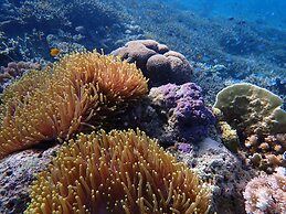 Alegria Dive Resort