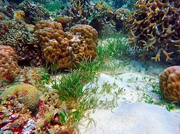 Alegria Dive Resort