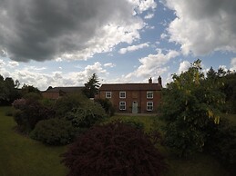 The Vine B & B