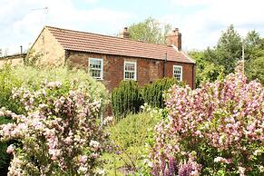 The Vine B & B