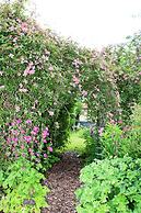 The Vine B & B
