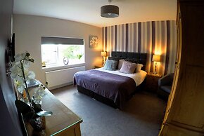 The Vine B & B