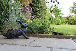 The Vine B & B