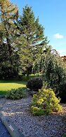 The Vine B & B