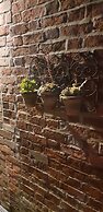 The Vine B & B