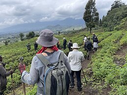 Virunga Homestay & Campsites