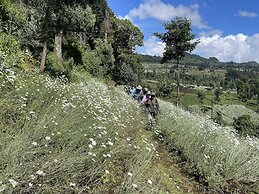 Virunga Homestay & Campsites