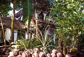 Dream-Big Eco Hostel