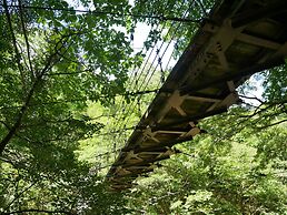 Forest Kamikita