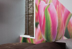 House of Tulips