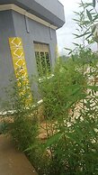 Lite Cottages