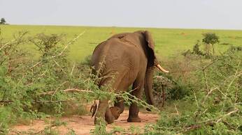 Tangi Safaris Lodge