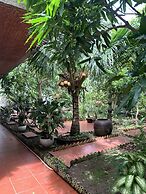 Island Homestay