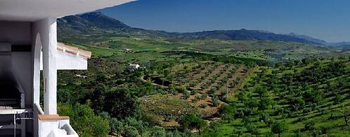 Hacienda Guaro Viejo