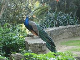 Villa dos Teixos