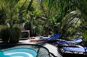 La Tropicale
