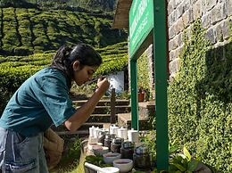 Fort Munnar