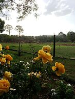 Stoneybrooke farm