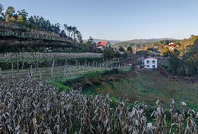 Casa da Cevidade