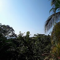 Casa Pina