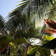 Casa Pina