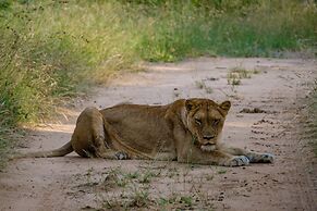 Little Africa Safari Lodge